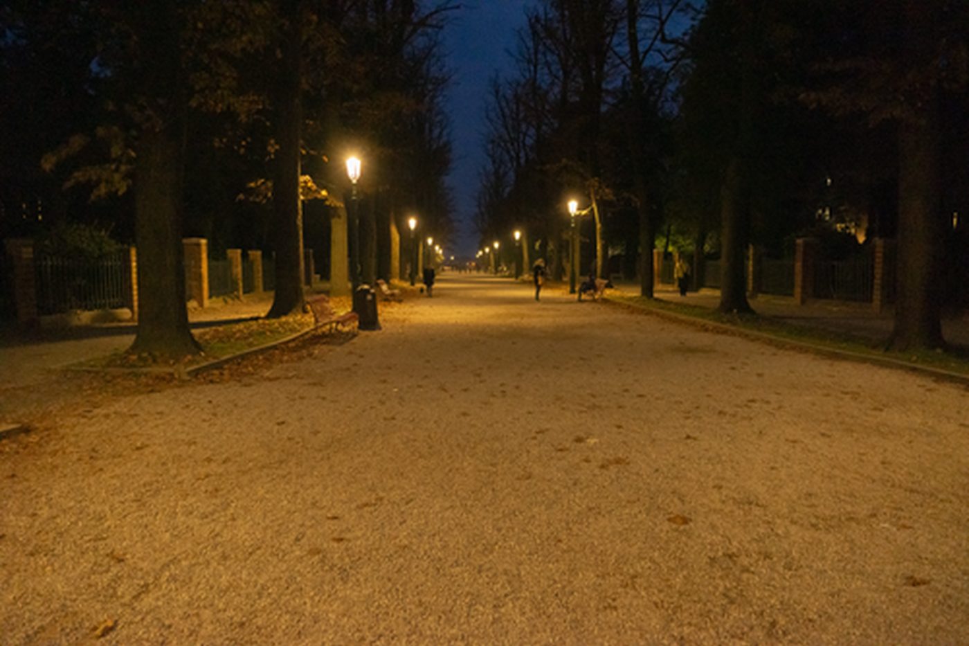 A quiet park avenue lined with lamps at night